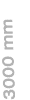 3000 mm